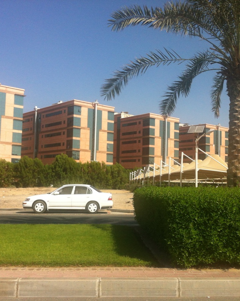 Area photo: Dubai International Academic City (not the project)
